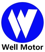 Dongguan Well Motor Co.Ltd
