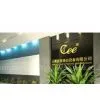 GuangzhouTianYing TV&Stage Co.,Ltd