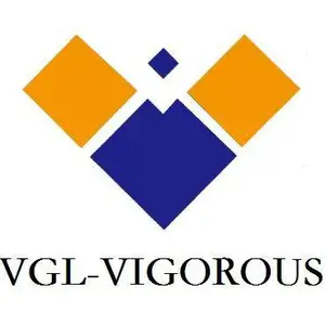 Vigorous (Shanghai) Automation Technology Co., Ltd.