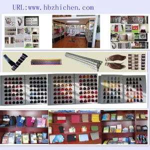 Hebei Zhichen Trading Co., Ltd.