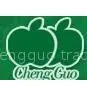 Shantou Chengguo Shoes Co.,Ltd.