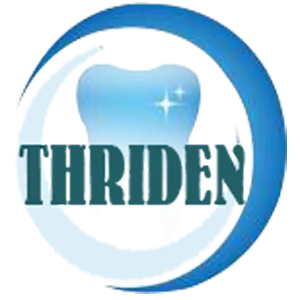 Thriden Industrial Co.,Ltd