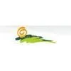 Shenzhen Hans Vision Technology Co.,Ltd