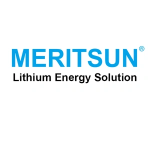 Guangzhou MeritSun Power Co., Ltd.