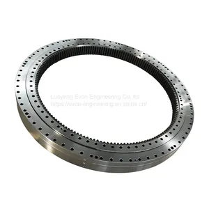 RK6-16P1Z Row Ball Bearings for Heavy Loads Lazy Susan Turntable Ring Slewing Bearing thumbnail-1