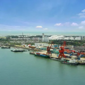 Import and Export thumbnail-2