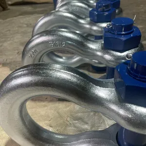 Forged Shackles, Chain, 2-1/2