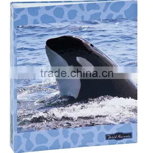 2015 Professional & High Quaity Folder Printing thumbnail-1