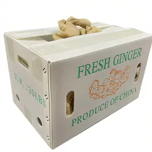Custom Recycled Corrugated Plastic Boxes for Fresh Ginger and Vegetable Transport thumbnail-1