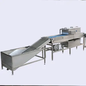 Yolk-white Separation Machine, Washing and Breaking Shell Machine, Egg Liquid Pasteurization Production Line thumbnail-5