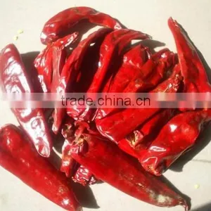 China New Crops,dry Hot Red Chaotian Tianying Tianjin Chilli thumbnail-2