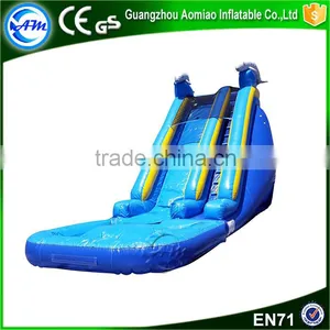 Top Quality 0.55mmPVC Large Inflatable Giant Slide,inflatable Water Slide Pool thumbnail-5