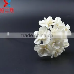 Wholesale New Design With High Quality Dried Sola Wood Flower thumbnail-2