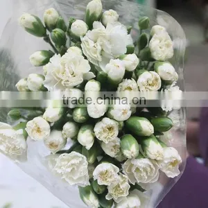 Fresh New Coming Flower Carnation and Rose for Wedding Decoration thumbnail-1