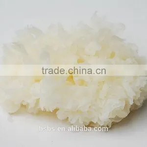 Top Quality Tremella Chinese White Fungus thumbnail-3