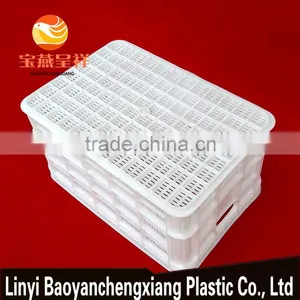 520x360x280mm Plastic Fruit Basket for Transportation thumbnail-5