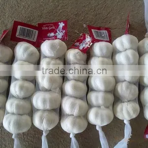 2016 Pure White Garlic 3P/4P/5P/ in 10kg Carton thumbnail-3