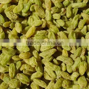 AD Dried Green Raisins With Good Quality for Sale thumbnail-3