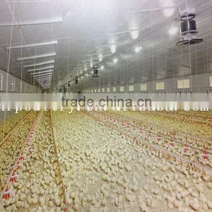 Chicken Broiler Rearing Cage Feeder thumbnail-1