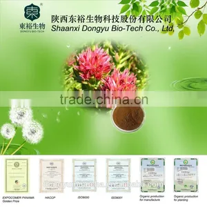 GMP Manufacture Supply High Quality Rhodiola Rosea Extract 3% 5% Rosavins for Supplement for Capsule thumbnail-1