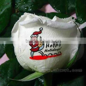 DIY Flower Printer thumbnail-1