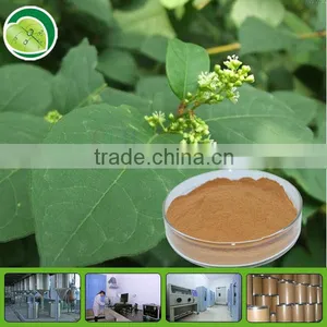 Extract Powder for Resveratrol Capsule thumbnail-1