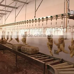 2000 Chicken Slaughter Line Slaughterhouse thumbnail-1