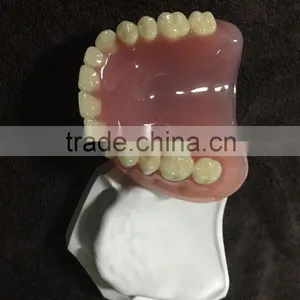 Integrated Denture Model Teaching Demonstration thumbnail-3