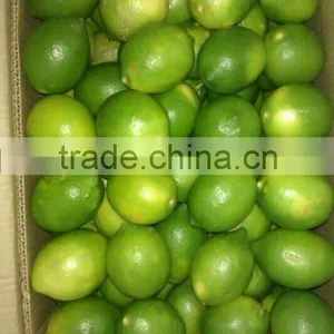 Fresh Lime thumbnail-2