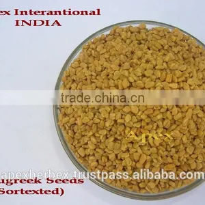 Spices Graecum / Fenugreek Seeds / Methi / Trigonella Foenum-Graecum thumbnail-1