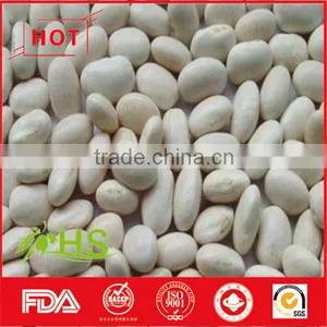 Chinese White Kidney Beans of Wholesale Price thumbnail-2