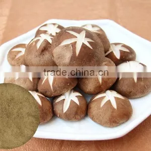 Pure Natural Shitake Mushroom Powder / Shitake Mushroom Extract / Polysaccharides thumbnail-2