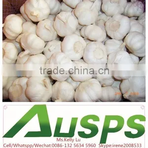 Fresh Chinese 3p Pure White Garlic thumbnail-4