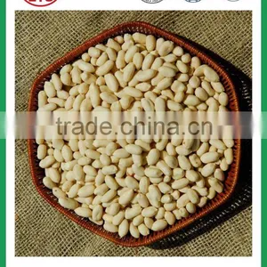 2016 Chinese Blanched Peanut Kernel in Long Shape thumbnail-3