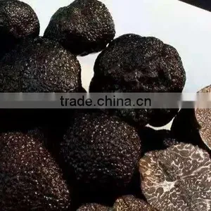 Frozen Truffle thumbnail-1