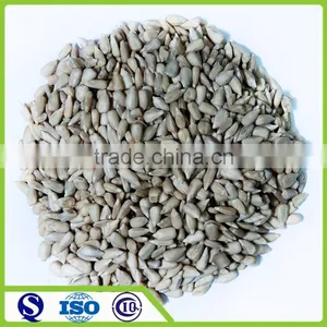 China 2016 New Crop Peeling Sunflower Seeds Kernel thumbnail-1