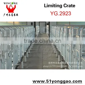 2.0mm Galvanized Pipe Pig Limit Crate Swine Gestation Cage for Pig Farm Equipment thumbnail-4