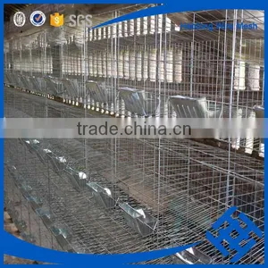 Making a Rabbit Cage for Kenya Farm thumbnail-1