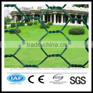 China Wholesale CE&ISO Certificated Plant Guard Hexagonal Wire Mesh(hexagonal Wire Netting)(pro Manufacturer) thumbnail-1
