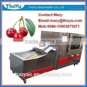 Durable Cherry Core Separating/ Extracting/Separator/Extractor(SMS: 0086-15903675071) thumbnail-1