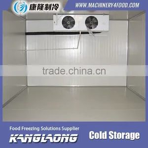 Hot Selling New Technology Container Cold Room thumbnail-1