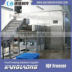High Quality IQF Frozen Fruit Mango Machine With Good Price thumbnail-5