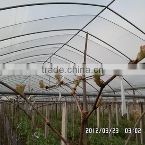 Anti Fog Anti Dust Coextruded PE Cover Film PE Film for Grape Greenhouse thumbnail-1