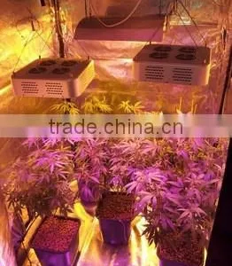 Cob Grow Led Lights 300w Led Grow Light Full Spectrum for Medical Plants thumbnail-5