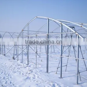 Galvanized Steel Pipe for Greenhouse/frame Steel Pipe thumbnail-4