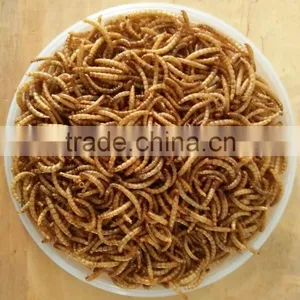 Organic Bird Food Dried Crickets // Dried Mealworms // Grasshopper thumbnail-4