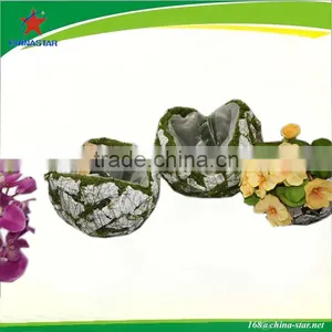 Moss Biodegradable Plant Pot thumbnail-1