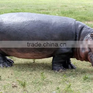 Outdoor Garden Decoration Resin Craft Fiberglass Fiberglass Hippo Statue thumbnail-2