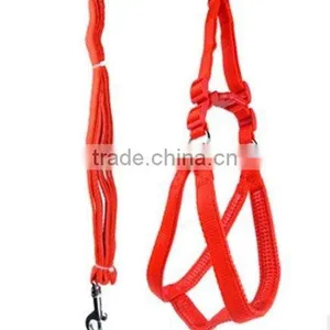 Led Dog Leash thumbnail-1