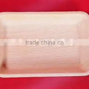 Biodegradable Tableware thumbnail-2